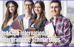 LifeAsapa International undergraduate financial aid in Denmark