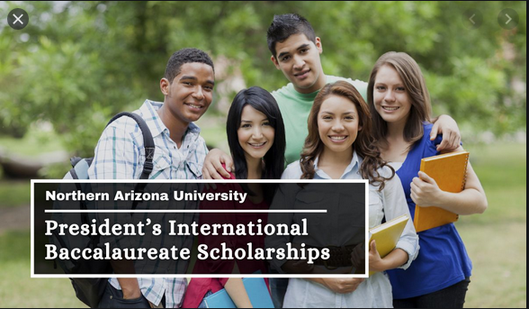 President’s International Baccalaureate (IB) Scholarship