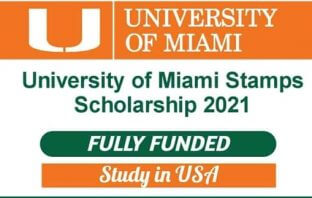 University of Miami Stamps Scholarship