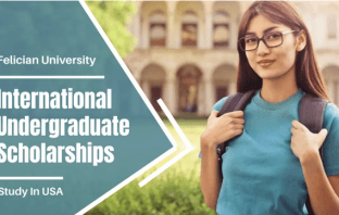 Apply Now For IFelician University International undergraduate financial aid in the USA