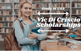 Apply Now For Vic Di Criscio Scholarships in USA With Life Insurance