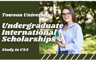 Undergraduate International Scholarships at Towson University